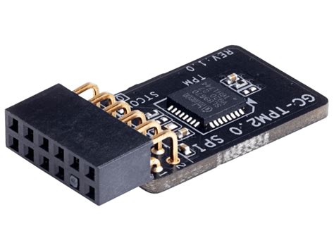 gigabyte tpm 2.0 module.